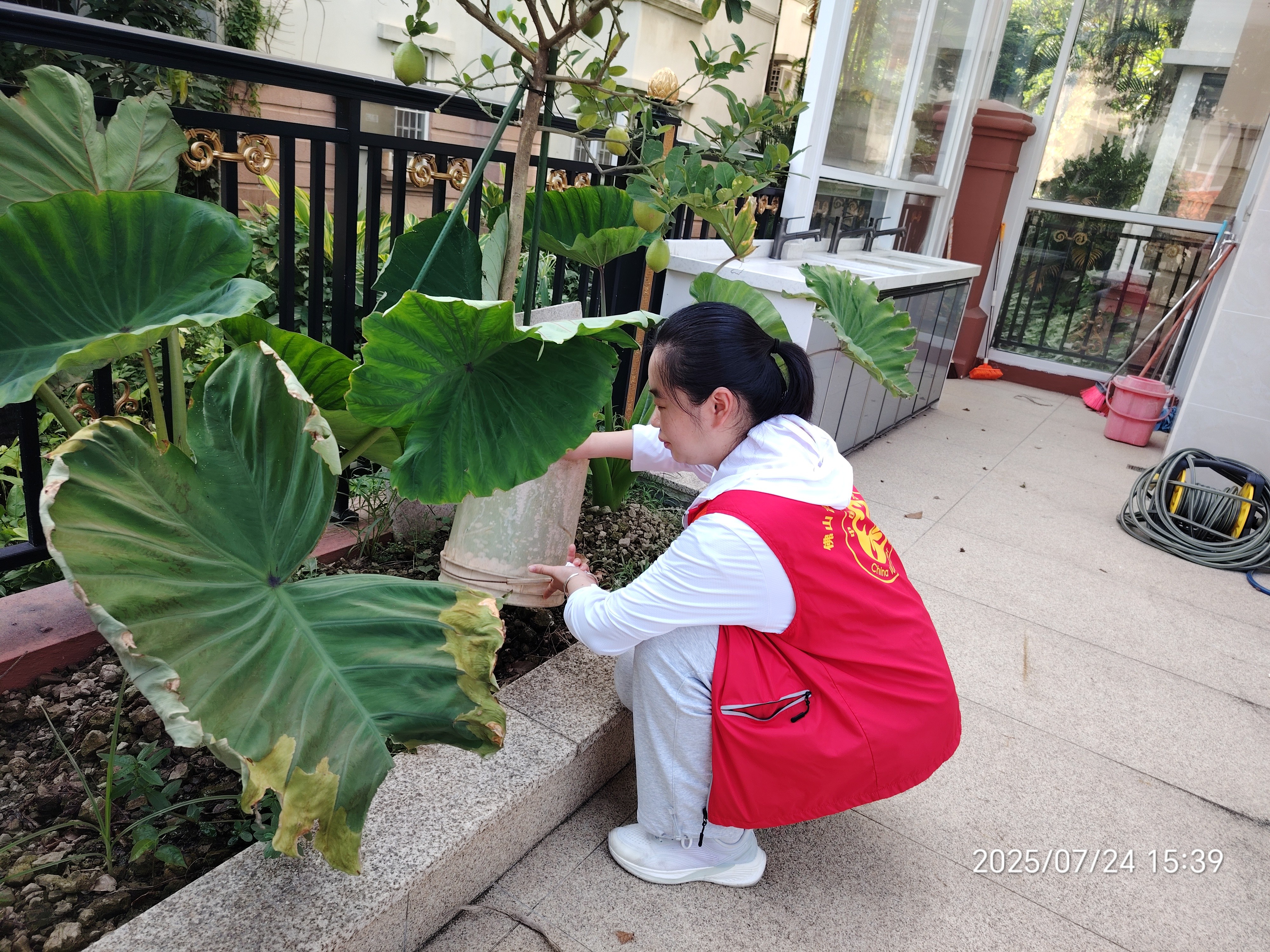 图片4.jpg
