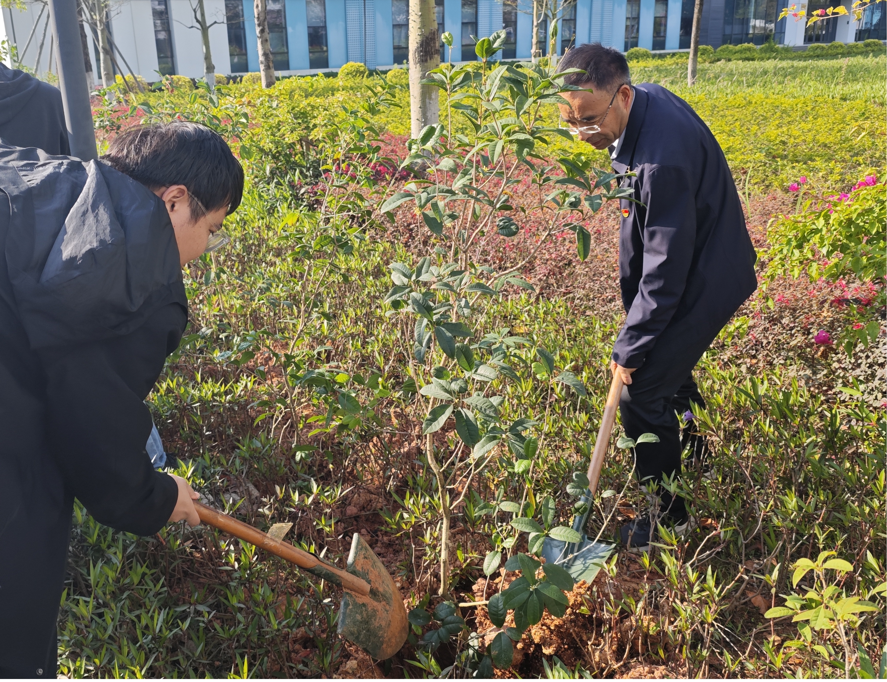 图片2.jpg 图片2.jpg