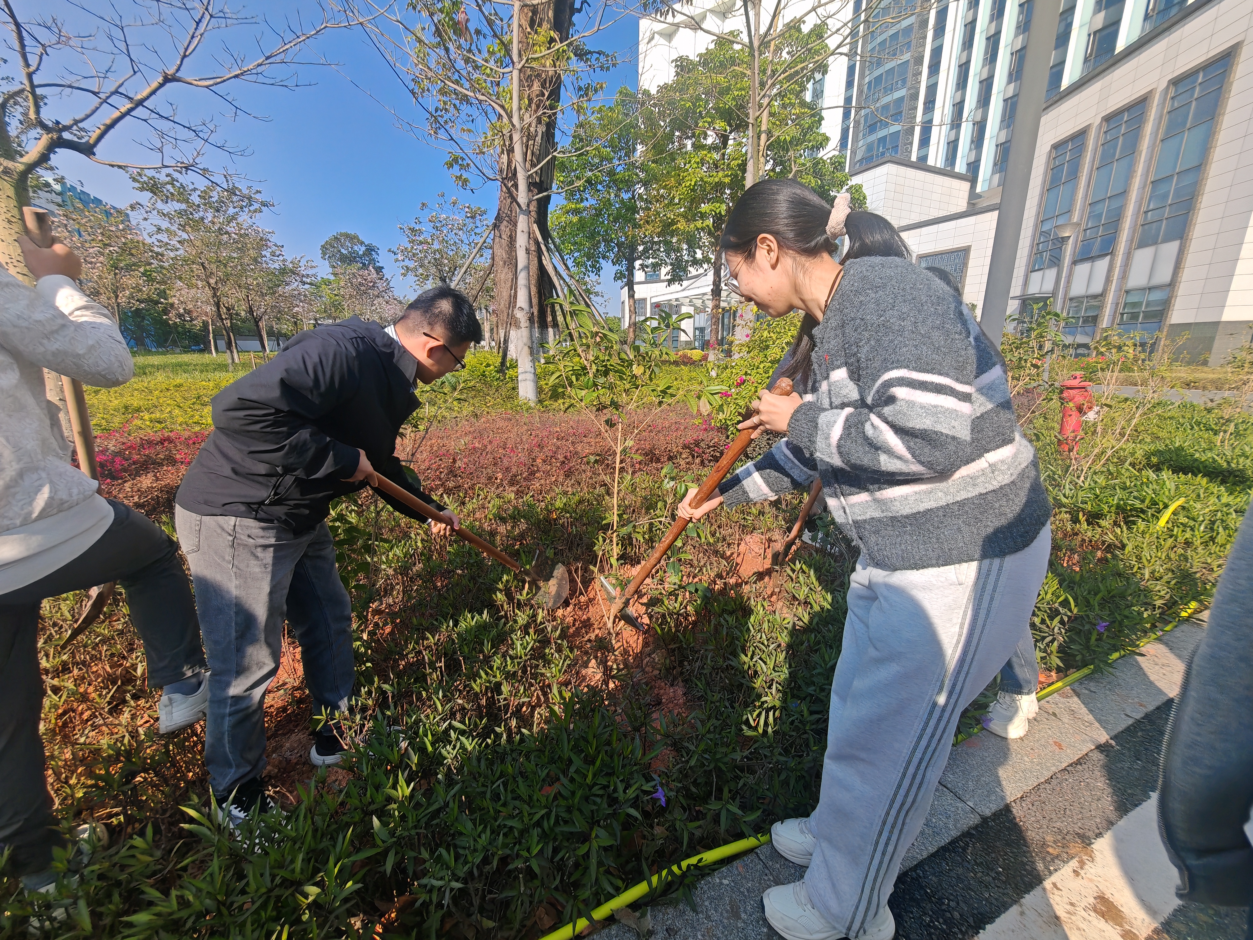 图片4.jpg 图片4.jpg