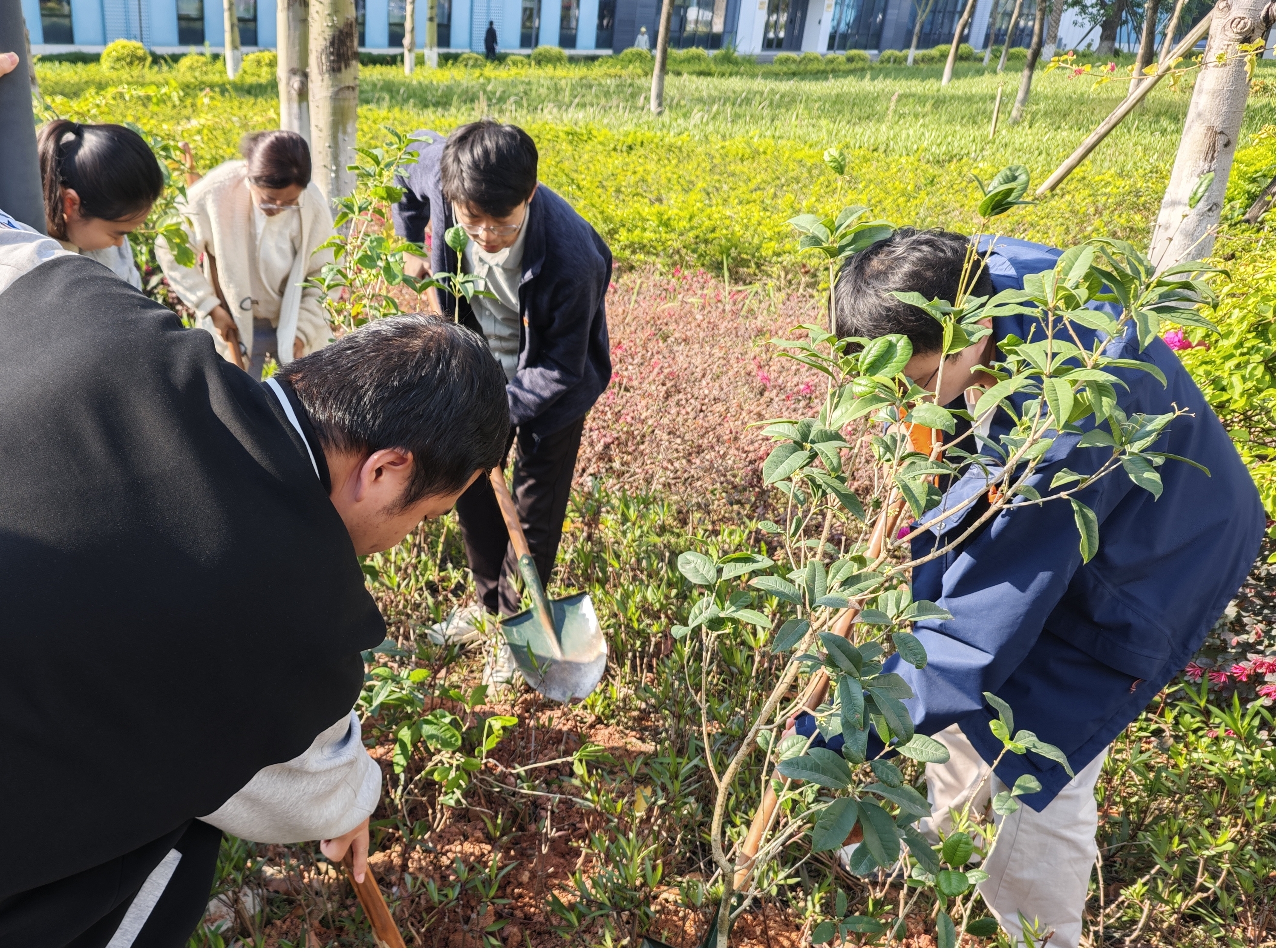 图片7.jpg 图片7.jpg